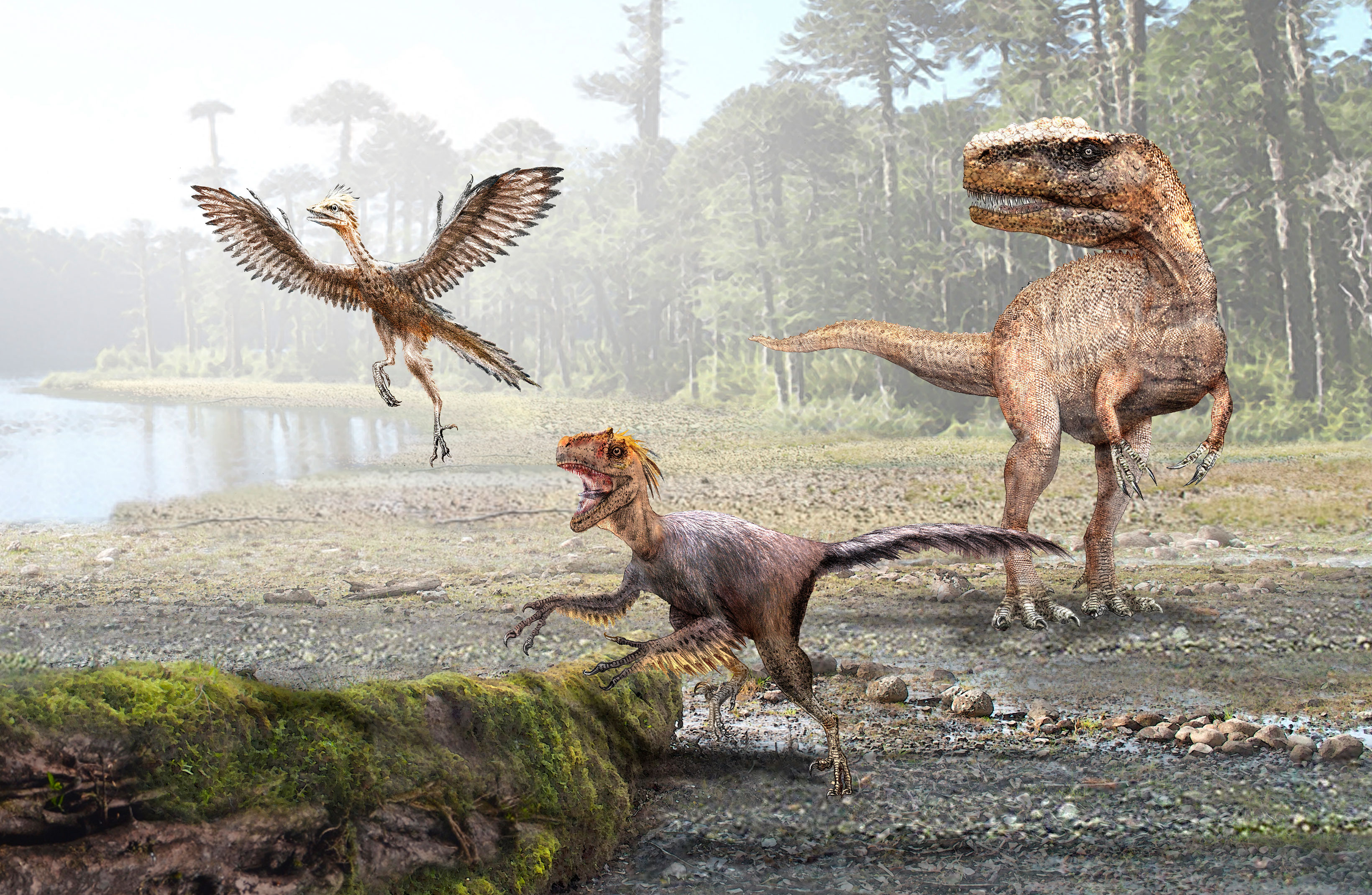 Evolución de la endotermia explicaría transición de los grandes dinosaurios  a las aves modernas – Facultad de Ciencias Biológicas