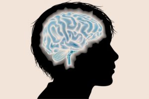 El Impacto Del Alcohol En Los Procesos Cognitivo Del Cerebro Adolescente Facultad De Ciencias